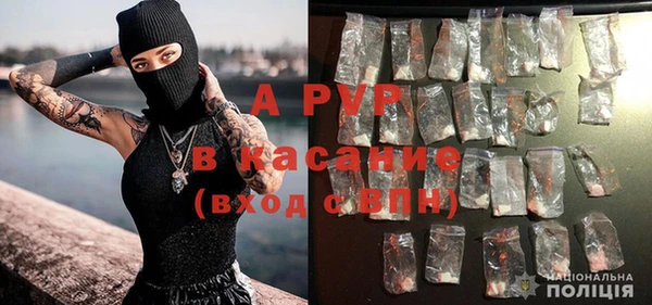 хмурый Алзамай