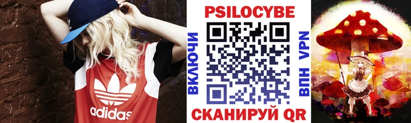 кракен зеркало  Байкальск  Псилоцибиновые грибы мицелий 